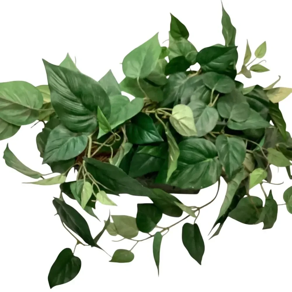 Artificial Pothos Plant in a Pot